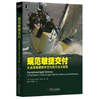 11规范敏捷交付企业级敏捷软件交付的方法与实践978711142387422