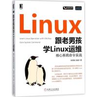 11跟老男孩学Linux运维:核心系统命令实战978711158597822