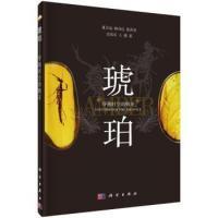 11琥珀-穿越时空的精灵978703044100322