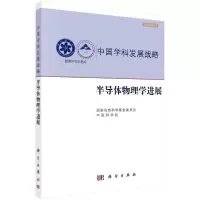 11半导体物理学进展978703060813022