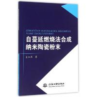 11自蔓延燃烧法合成纳米陶瓷粉末978751703998322