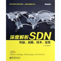 11深度解析SDN(利益战略技术实践)978712121821722