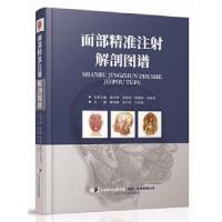 11面部精准注射解剖图谱978755911121022