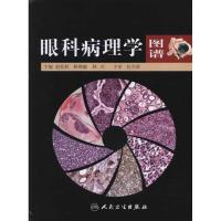 11眼科病理学图谱978711715015622