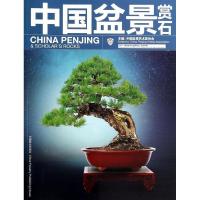 11中国盆景赏石:2013