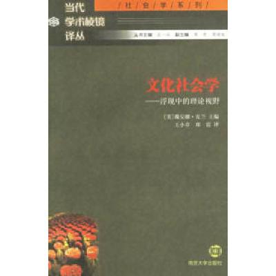 11文化社会学:浮现中的理论视野/当代学术棱镜译丛9787305045899