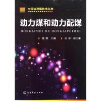 11动力煤和动力配煤/中国洁净煤技术丛书978712212268122