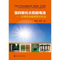 11染料敏化太阳能电池-从理论基础到技术应用978712217175722