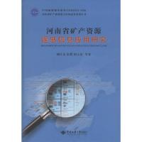 11河南省矿产资源遥感信息应用研究978756253721222