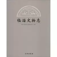 11临淄文物志978750104128222