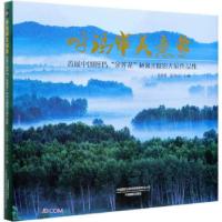 11寒地天鹅湖马春光白天鹅题材摄影作品选978751790978122