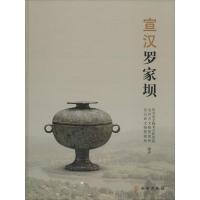 11宣汉罗家坝978750104321722