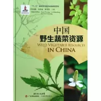 11中国野生蔬菜资源978753595827322