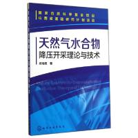 11天然气水合物降压开采理论与技术978712221605222