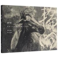 11轮回(中国摄影家典藏)978755141446322