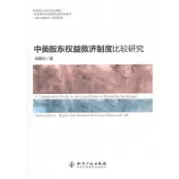 11中美股东权益救济制度比较研究978751300488622