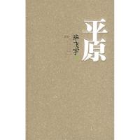 11平原978753992280522