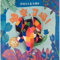 11花格子大象手偶书(晚安艾玛!)978750867929722