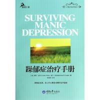 11躁郁症治疗手册/心理咨询师系列978756247804122