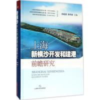 11上海新横沙开发和建港前瞻研究978754782877922