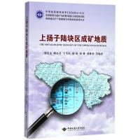 11上扬子陆块区成矿地质978756253962922