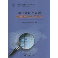 11河南省矿产资源磁测信息应用研究978756253722922