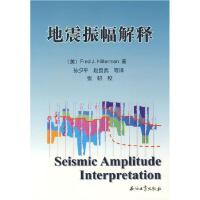 11地震振幅解释978750214952922