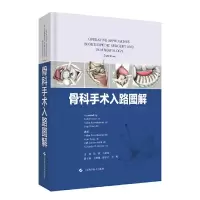 11骨科手术入路图解978754784519622