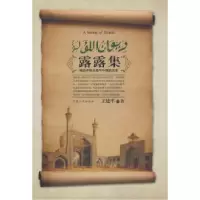 11露露集——略谈伊斯兰教与中国的关系978722703674622