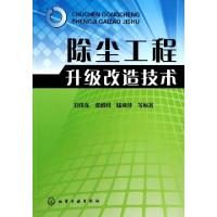 11除尘工程升级改造技术978712218643022