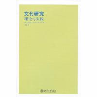 11文化研究——理论与实践978730122058022