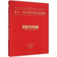 11第十二届全国美术作品展览实验艺术作品集978710206934022