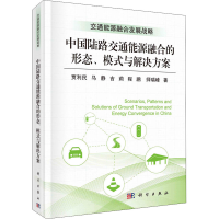 11中国陆路交通能源融合的形态、模式与解决方案978703057457222