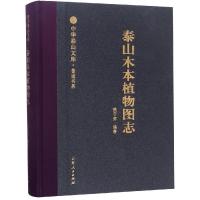 11泰山木本植物图志/中华泰山文库.著述书系978720911359522