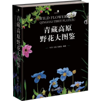 11青藏高原野花大图鉴978756890353022