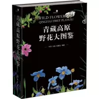 11青藏高原野花大图鉴978756890353022