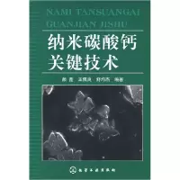 11纳米碳酸钙关键技术978712200697422