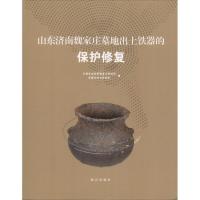 11山东济南魏家庄墓地出土铁器的保护修复978751341119622