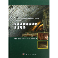 11深埋硬岩隧洞动态设计方法978703036716722