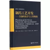 11制药工艺开发:目前的化学与工程挑战978756284438922
