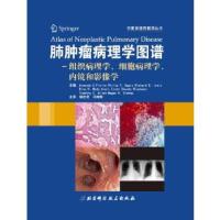 11肺肿瘤病理诊断图谱:病理学、内镜检查与影像学9787530462973