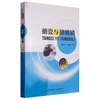 11搪瓷与搪玻璃978751840550322