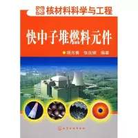 11快中子堆燃料元件978750259924922