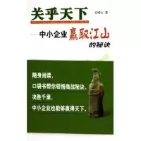 11关乎天下--中小企业赢取江山的秘诀978780668995022