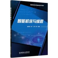 11智能机床与编程(普通高等教育智能制造系列教材)9787568285377