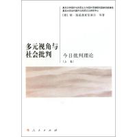 11多元视角与社会批判:今日批判理论(上卷)978701009514122