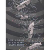 11蔡国强:我想要相信978701007442922