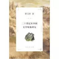 11二十世纪末中国文学现象研究978702007829522