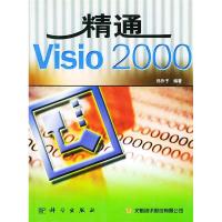 11精通Visio2000978703009245822