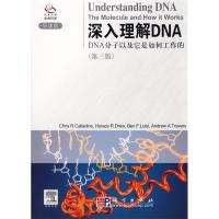 11深入理解DNA(第三版)978703018213522
